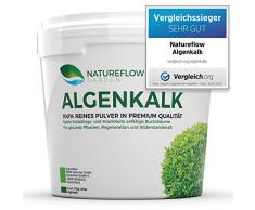 TESTSIEGER Algenkalk Pulver für Buchsbaum – Widerstandskraft und Regeneration für anfällige Buchsbäume (z.B. Buchsbaumzünsler) - Premium-Qualität aus Island - Natürliche Alternative Garden (5 kg)