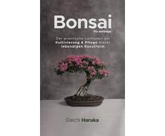 Bonsai für Anfänger: Der praktische Leitfaden zur Kultivierung & Pflege dieser lebendigen Kunstform