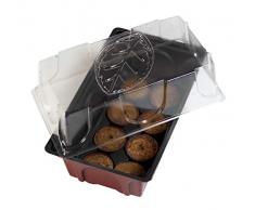 Windhager Zimmer-Gewächshaus Mini inklusiv 8 Quelltabs, terracotta / anthrazit, 11 x 19 x 6 cm, 06842