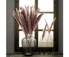 XHXSTORE 25pcs Pampasgras Klein Natürliche Getrocknete Pampasgras Brown Echte Getrocknete Blumen Schilfgras Kunstblumen Trockenblumen für Vase Hochzeit Hause Party Fotografie Winter Dekoration