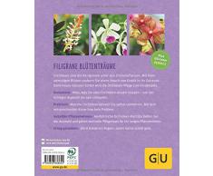 Orchideen: Pflegeleichte Exoten fürs Zuhause