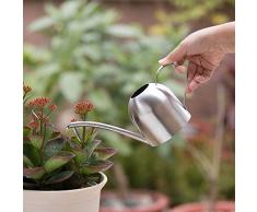 Baiwka Mini-Gießkanne mit Langer Düse, 500 ml, klein, Edelstahl, für drinnen und draußen, Zuhause, Büro, Garten, Topfpflanzen, Sukkulenten