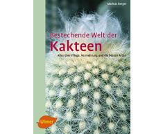 Bestechende Welt der Kakteen: Alles über Pflege, Vermehrung und die besten Arten