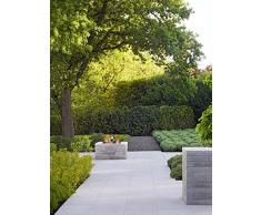 Feuerstellen: Ideen, Planung und Know-how für Gartenkamine, -öfen und Feuerschalen - Brandheiße Ideen für urige Grillplätze, Outdoor-Küchen oder multifunktionalen Feuerstellen