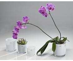 Windlicht Kerzenglas Blumenübertopf Glas Spring Emotion HEAVY 10 cm weiß