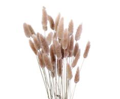 Vosarea 30pcs natürliches getrocknetes Pampasgras Hochzeit Blume Bündel für die Hochzeit zu Hause Gartendekoration