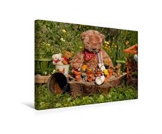 Premium Textil-Leinwand 45 x 30 cm Quer-Format Garten-Bär | Wandbild, HD-Bild auf Keilrahmen, Fertigbild auf hochwertigem Vlies, Leinwanddruck von Meike Bölts