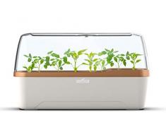 Romberg Style BoQube Gewächshaus & Pflanzkasten-System 41x17x23cm Creme/kupfergold