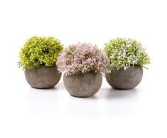 T4U Kunstpflanze Künstliche Blumen Bonsai mit Topf Weiß Gelb Rosa 3er-Set klein, Zuhause Wohnung Büro Dekor Hochzeit Geburtstag Weihnachten Geschenk