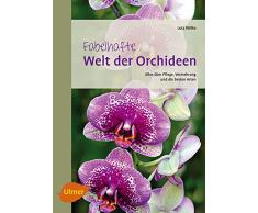 Fabelhafte Welt der Orchideen: Alles über Pflege, Vermehrung und die besten Arten