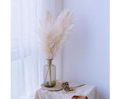 pah-macy Pampasgras, natürlich getrocknet - Plant Wedding Flower Bunch for Home Decorations vom Hochzeitstrend zum Interior-Liebling! (Naturfarben)-10 cremefarbenes Pampasgras_Getrocknete Knospe