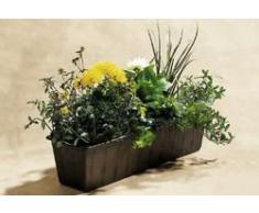 BLUMENKASTEN 80CM BRAUN 80308008