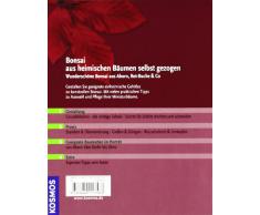 Bonsai aus heimischen Bäumen selbst gezogen