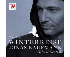 Winterreise, D911: Die Wetterfahne