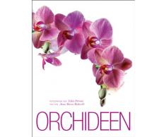 Orchideen: Alles Wissenswerte über die sinnlichste aller Blumen. Bildband der bezauberndne und sinnlichen Pflanze mit den unterschiedlichsten Arten in Groß- und Detailaufnahmen