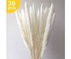Sporgo Pampasgras, 30 Stück Pampasgras Getrocknet Deko Groß Pampasgras for Home Store Wedding Inneneinrichtungen, Blumen Trockenblumen Deko Weiss Pampasgras Natürlicher