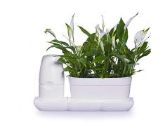 Minigarden Basic S UNO, innovatives Starterset für einfachste Pflanzenpflege; ausgestattet mit automatischem Bewässerungs- und Düngesystem; ideal zum Aufstellen auf Fensterbänken und Tischen (Weiß)