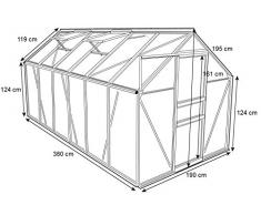 Zelsius Aluminium Gewächshaus für den Garten | 380 x 190 cm | 6 mm Platten | Vielseitig nutzbar als Treibhaus, Tomatenhaus, Frühbeet und Pflanzenhaus