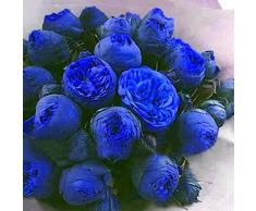 Qulista Samenhaus - 10pcs Rarität Duftend Chinesische Pfingstrose Päoniefrostharte Gartenstaude Blumensamen winterhart mehrjährig