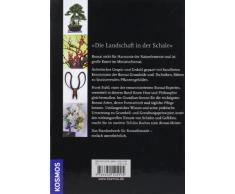 Bonsai - Vom Grundkurs zum Meister