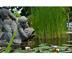 CleanPrince Bio Teich-Clean 3 x 500 ml Teichreiniger biologisch natürlich - wirkt pflanzenstärkend und sauerstoff-anreichernd, unbedenklich einsetzbar und absolut ungiftig, Wasseraufbereiter Wasseraufbereitung bei Pflanzen und Fischen