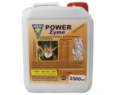 HESI Power Zyme Pflanzendünger (2,5L)