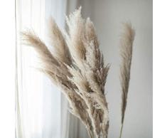 pah-macy Pampasgras, natürlich getrocknet - Plant Wedding Flower Bunch for Home Decorations vom Hochzeitstrend zum Interior-Liebling! (Naturfarben)-10 Zweige Schilf_Trockene Zweige