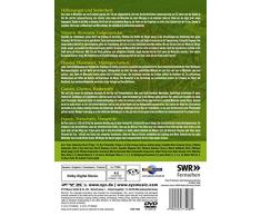 Die Stadt im späten Mittelalter