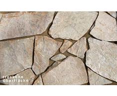 Natursteinplatten Polygonalplatten QuarzitClara 20m² auf Palette