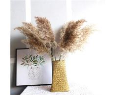 Turbobm 20 Stück Pampasgras, getrocknete Blume, Hochzeit verwenden Pampa Blumenstrauß schöne Schilf Weihnachtsdekor Pampa Gras Blumenstrauß