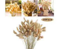 Sunshine smile getrocknete pampasgras,pampasgras Natur,trockenblumen blumenstrauß deko,pampasgras für inneneinrichtungen,pampasgras natürlicher (Natürlich)