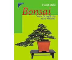 Bonsai: Vom Grundkurs zum Meister