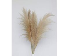 Rey Label Pampasgras, natürlich getrocknet - vom Hochzeits-Trend zum Interior-Liebling! (Naturfarben)