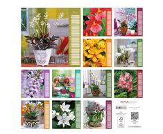 Orchideen 2018 - Blumen - Bildkalender (33 x 33) - mit Texten: by Rainer Haak