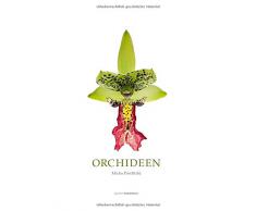 Orchideen