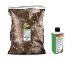 GREEN24 Umtopf - Set für Plumeria/Frangipani/Tempelbaum - bestehend aus 10 Liter Spezial - Substrat und darauf abgestimmten Flüssigdünger NPK Volldünger