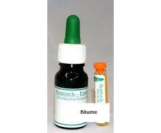 Rostock-Essenzen Feigenbaum 10ml