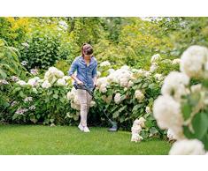 Bosch Akku Rasentrimmer EasyGrassCut 18-230 (1x Akku, 18 Volt System, Schnittkreisdurchmesser 23 cm, im Karton)