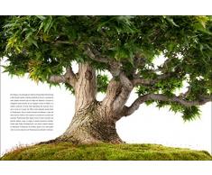 Bonsai Handbuch: 30 faszinierende Aufnahmen von Meisterfotograf Fabio Petroni zu Ahorn, Ginkgo, Azalee, Wacholder oder Glyzinie Bonsaipflanzen aus dem Crespi Bonsai Museum