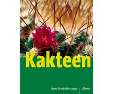 Kakteen