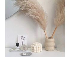 pah-macy Pampasgras, natürlich getrocknet - Plant Wedding Flower Bunch for Home Decorations vom Hochzeitstrend zum Interior-Liebling! (Naturfarben)-5 große graue Schilfrohre_Trockene Zweige