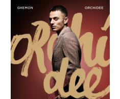 Orchidee