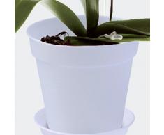 Elho Green Basics Orchidee 13 - Blumentopf - Transparent - Drinnen & Draußen - Ø 13 x H 12 cm