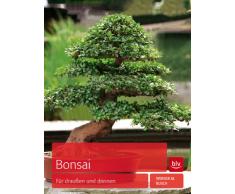 Bonsai: Für draußen und drinnen