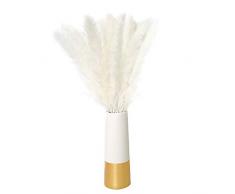 COPSD 30 x Getrocknetes Pampasgras schilfrohr Schilfgras Pampas Gras Phragmites Trockenblumen Deko für Inneneinrichtung Fotografie Hochzeit Weiß