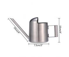 Kleine Gießkanne, AOLVO Modern Mini Indoor Gießkanne Edelstahl 300 ml 313 ml mit langem Hals für Haus und Büro Pflanzen – Silber