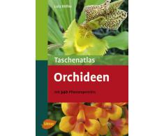 Taschenatlas Orchideen - Mit 340 Pflanzenporträts (Taschenatlanten)