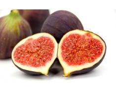 Feigenbaum kaufen winterhart Brown Turkey Echte Feige Ficus carica süße leckere Früchte im Topf 40-60 cm