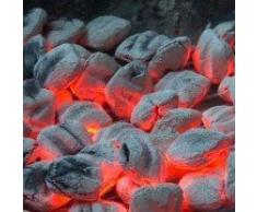 8kg WEBER BBQ Grillbriketts Holzkohle Brikett NEU 2016 Grill (1)