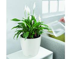 LECHUZA CLASSICO Color 21, Weiß, Hochwertiger Kunststoff, Inkl. Bewässerungssystem, Für Innen- und Außenbereich, 13170